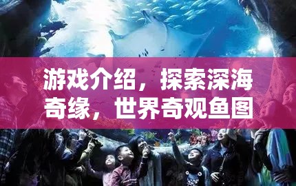 深海奇緣，探索世界奇觀魚類的絕美圖片集