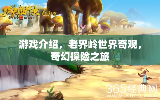 老界嶺，奇幻探險(xiǎn)之旅，解鎖世界奇觀之謎