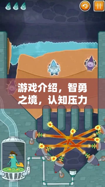 智勇之境，認(rèn)知壓力應(yīng)對(duì)大師的挑戰(zhàn)之旅