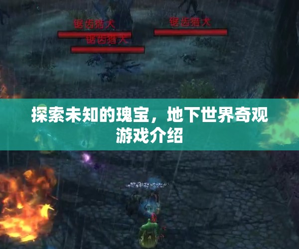 探索未知瑰寶，地下世界奇觀游戲揭秘