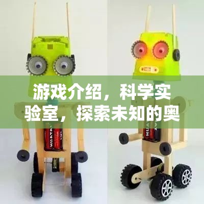 探索未知奧秘，科學(xué)實(shí)驗(yàn)室的奇妙游戲之旅