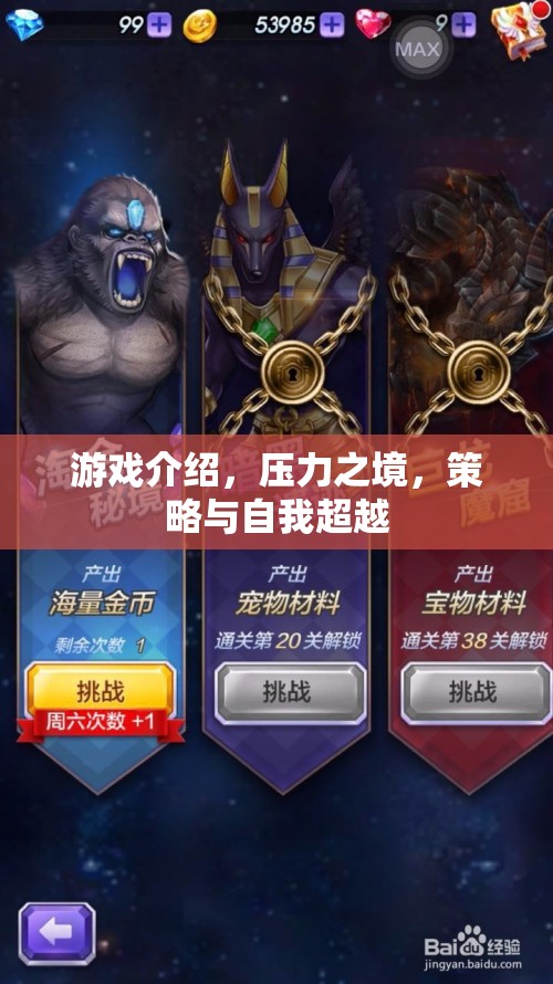 壓力之境，策略與自我超越的極限挑戰(zhàn)