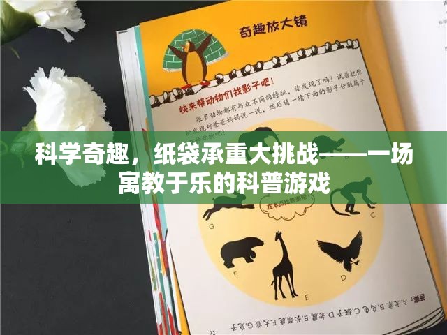 紙袋承重大挑戰(zhàn)，寓教于樂的科普游戲
