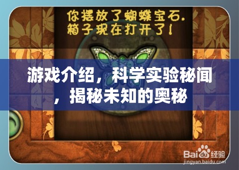 揭秘游戲背后的科學(xué)實(shí)驗(yàn)，探索未知的奧秘
