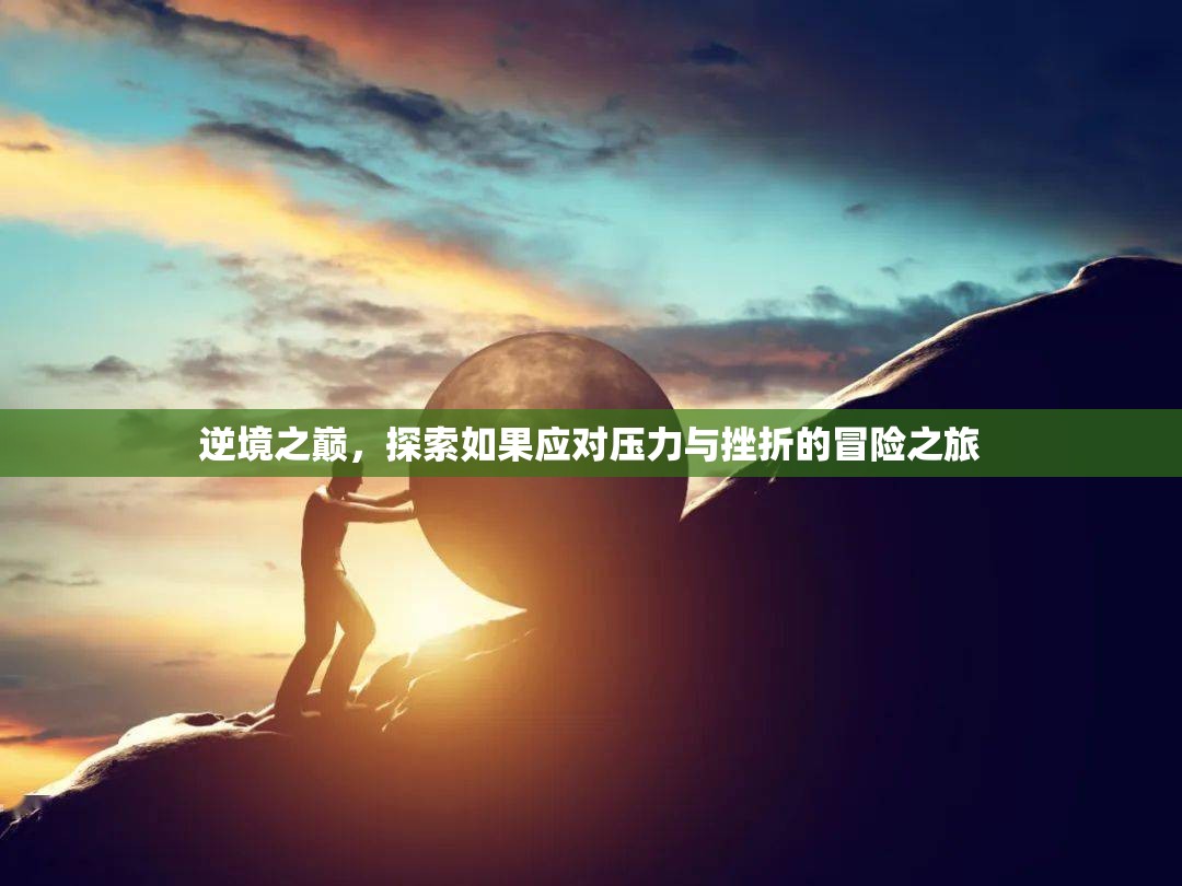 逆境之巔，探索應(yīng)對壓力與挫折的冒險(xiǎn)之旅