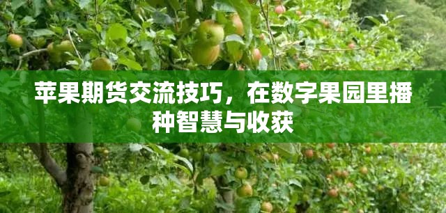 蘋果期貨交流技巧，在數(shù)字果園里播種智慧與收獲