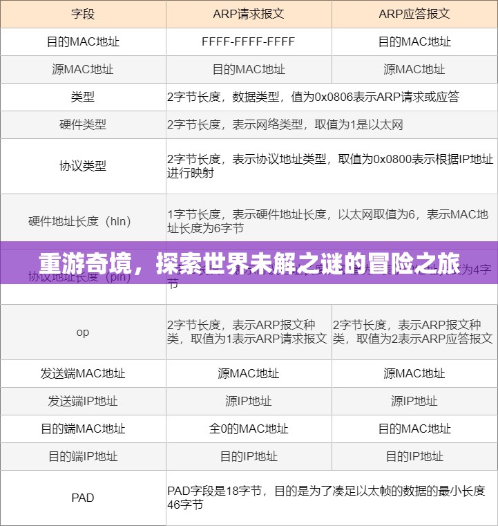 重返奇境，揭開世界未解之謎的冒險(xiǎn)探索