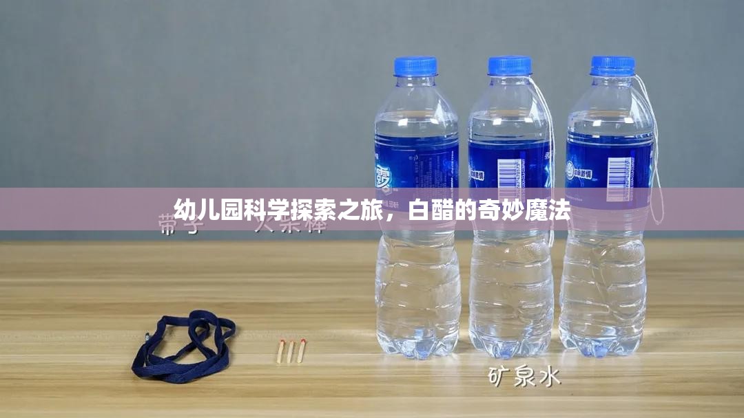 白醋的奇妙魔法，幼兒園的科學(xué)探索之旅
