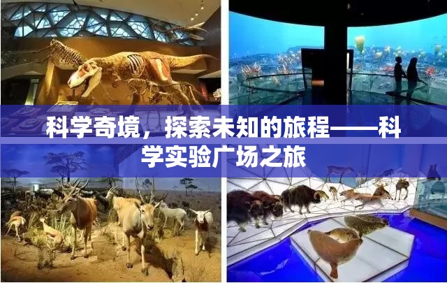 科學(xué)奇境，探索未知的旅程——科學(xué)實(shí)驗(yàn)廣場(chǎng)之旅