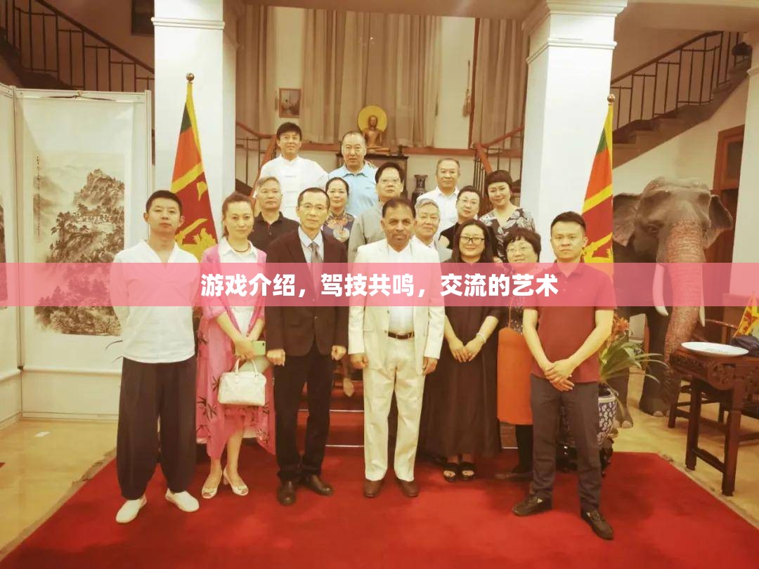 駕技共鳴，游戲中的交流藝術(shù)
