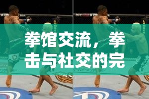 拳擊社交新風尚，拳館交流的完美融合