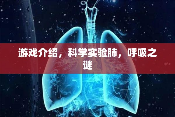 揭秘科學(xué)實(shí)驗(yàn)，探索肺與呼吸的奧秘