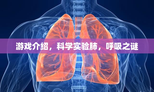 揭秘科學(xué)實(shí)驗(yàn)，探索肺與呼吸的奧秘