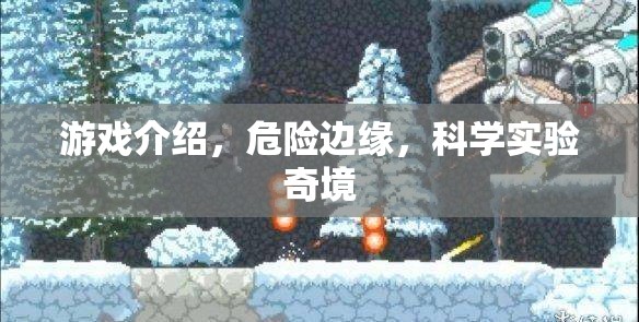 探索科學(xué)實(shí)驗(yàn)奇境，揭秘危險(xiǎn)邊緣游戲魅力