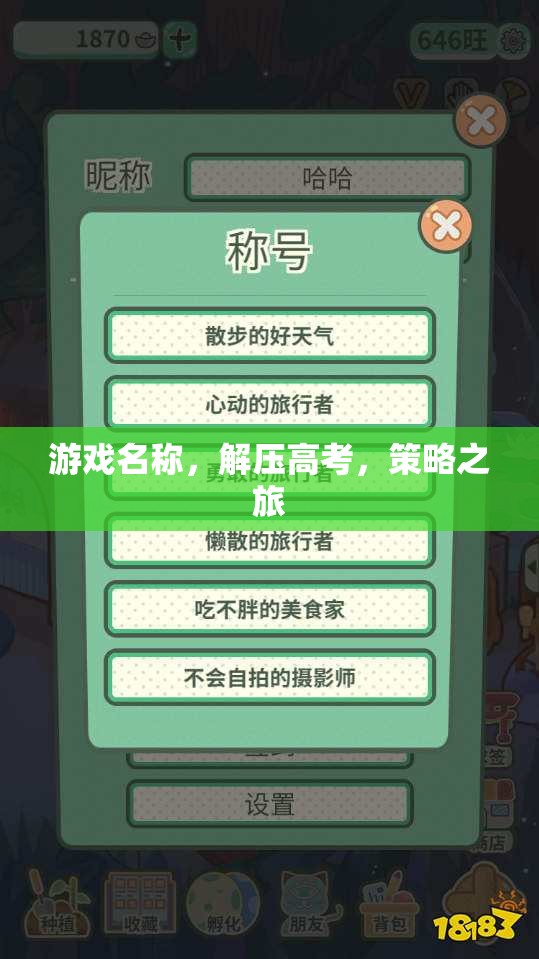 解壓高考，策略之旅的智慧挑戰(zhàn)