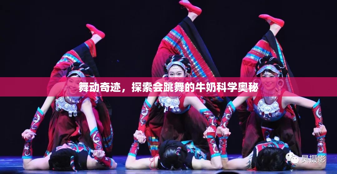 舞動奇跡，探索會跳舞的牛奶科學(xué)奧秘