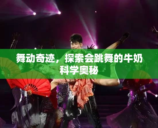 舞動奇跡，探索會跳舞的牛奶科學(xué)奧秘