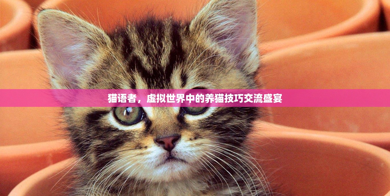 虛擬養(yǎng)貓技巧交流，貓語者的盛宴
