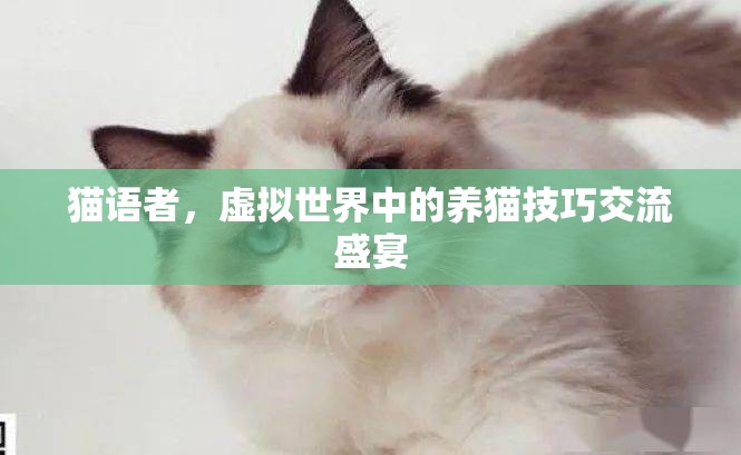 貓語者，虛擬世界中的養(yǎng)貓技巧交流盛宴