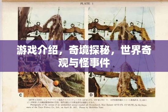 奇境探秘，解鎖世界奇觀與怪異事件的游戲之旅
