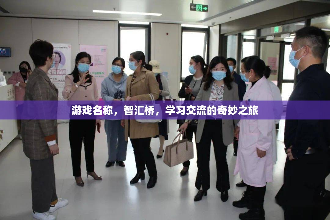 智匯橋，開啟學習交流的奇妙旅程