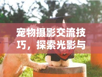 光影與愛(ài)的藝術(shù)，寵物攝影交流技巧探索