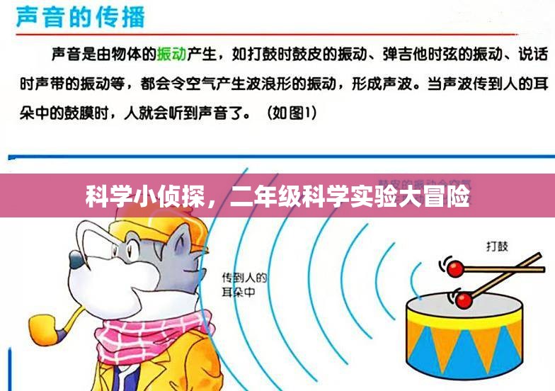 科學小偵探，二年級科學實驗大冒險的奇妙之旅