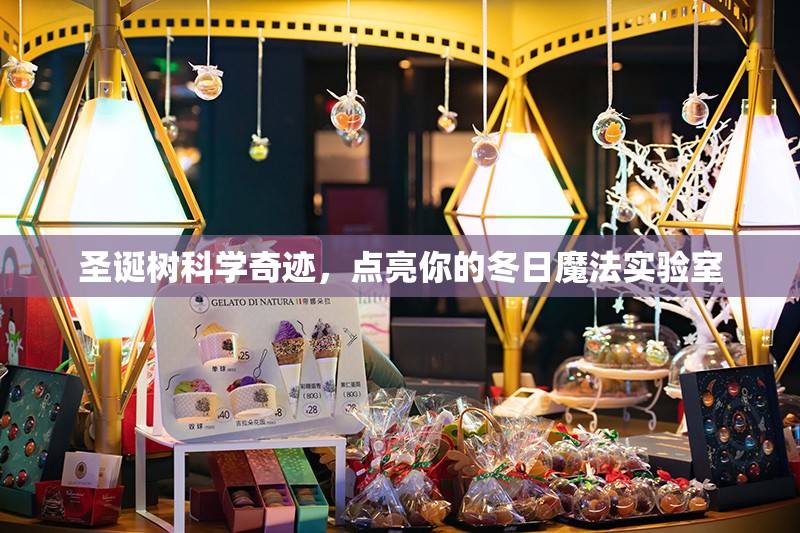 圣誕樹的科學(xué)奇跡，點亮你的冬日魔法實驗室