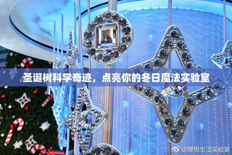 圣誕樹的科學奇跡，點亮你的冬日魔法實驗室