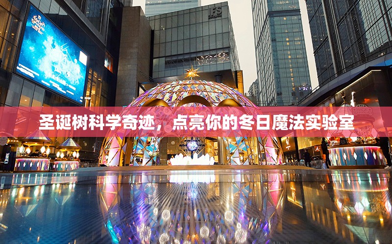 圣誕樹的科學奇跡，點亮你的冬日魔法實驗室