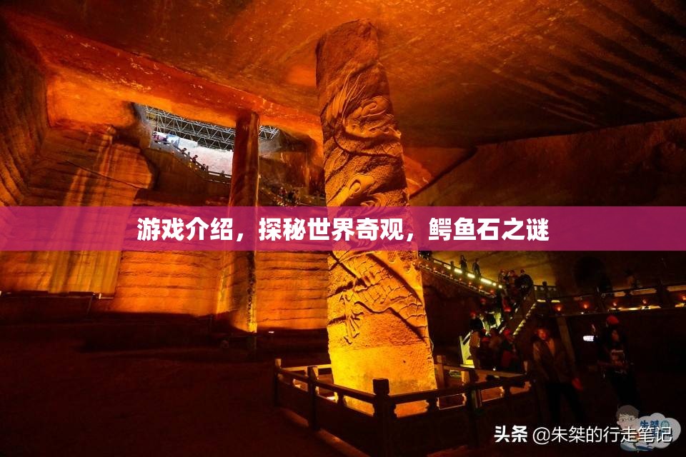揭秘鱷魚(yú)石之謎，探秘世界奇觀