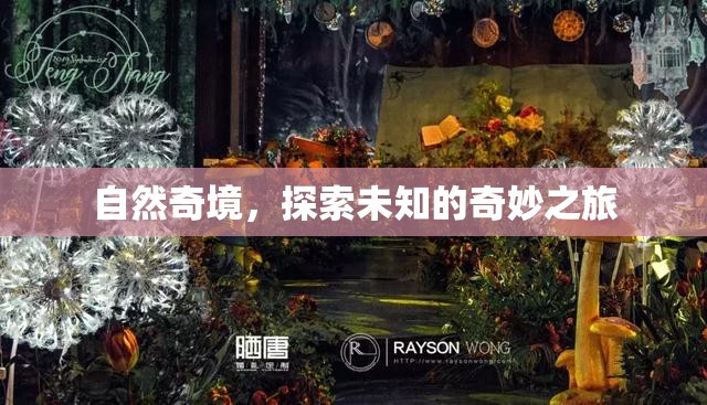 自然奇境，一場探索未知的奇妙之旅