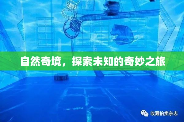 自然奇境，一場探索未知的奇妙之旅
