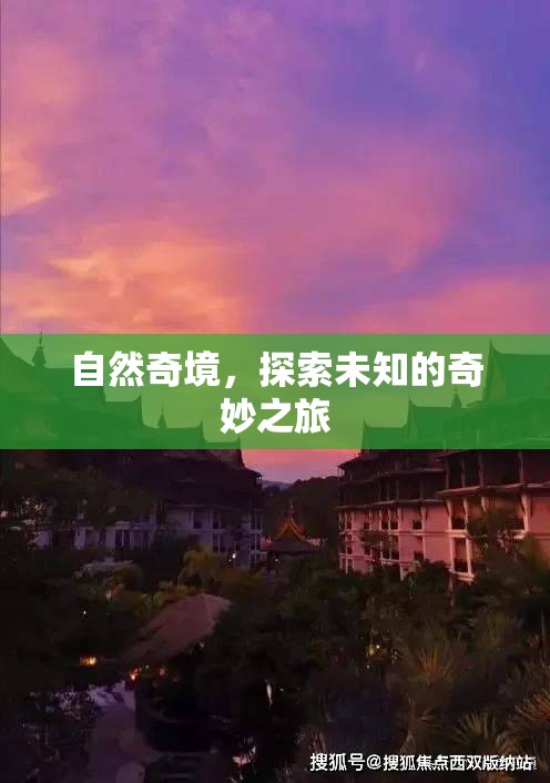 自然奇境，一場探索未知的奇妙之旅