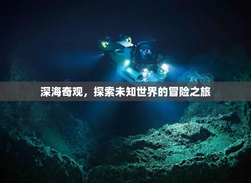 深海奇觀，一場探索未知世界的冒險之旅