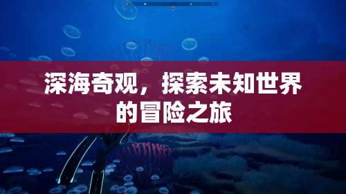 深海奇觀，一場探索未知世界的冒險之旅