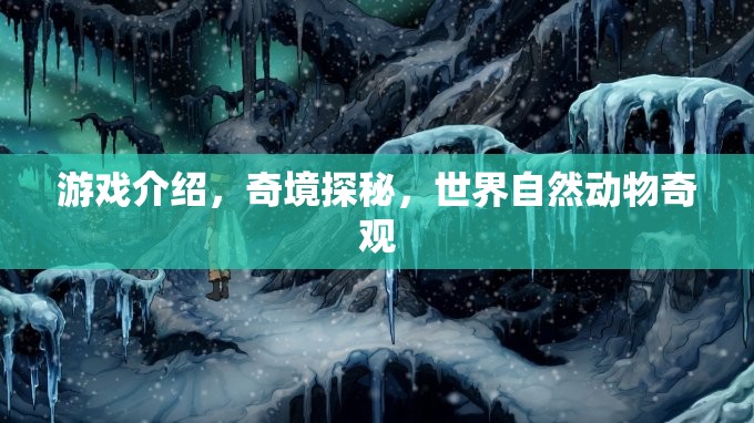 探索自然奇境，奇境探秘中的動(dòng)物奇觀