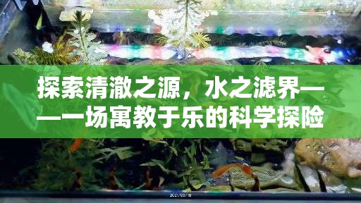清澈之源，寓教于樂的水之濾界科學(xué)探險(xiǎn)