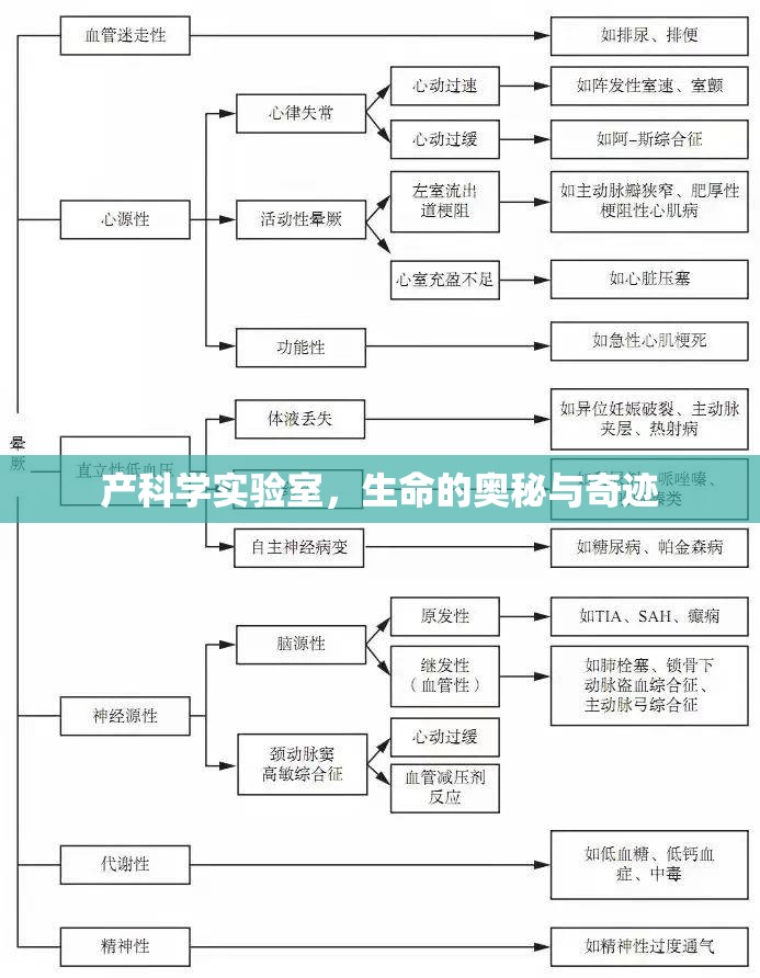 探索產(chǎn)科學實驗室，生命的奧秘與奇跡