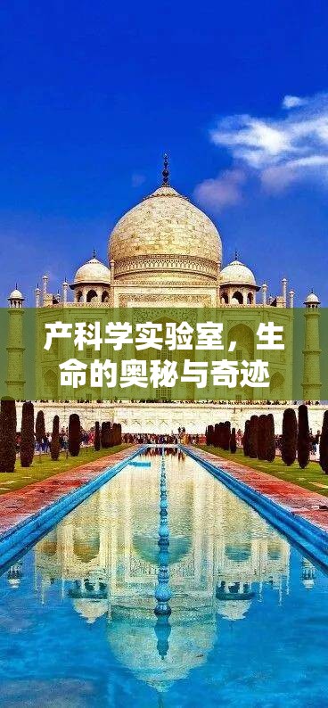 探索產(chǎn)科學實驗室，生命的奧秘與奇跡