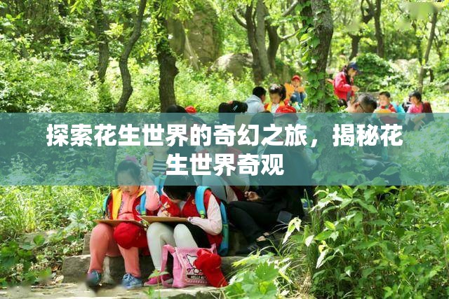 探索花生世界的奇幻之旅，揭秘花生世界的奇妙奇觀