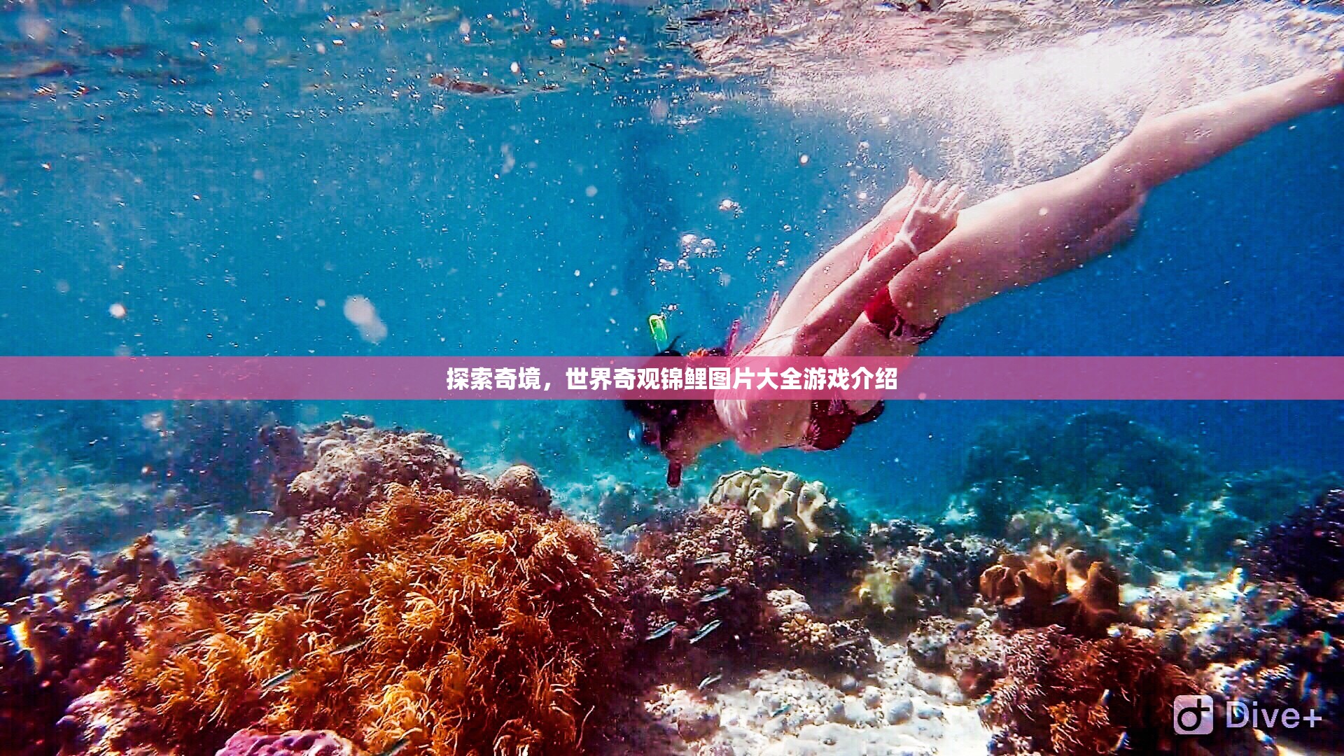 探索奇境，世界奇觀錦鯉圖片大全游戲