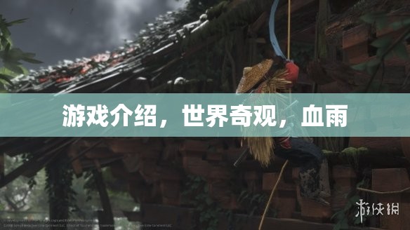 探索世界奇觀，血雨下的游戲之旅