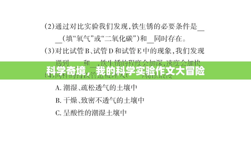 科學(xué)奇境，我的科學(xué)實驗作文大冒險