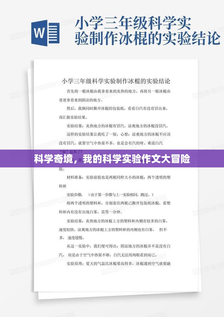 科學(xué)奇境，我的科學(xué)實驗作文大冒險