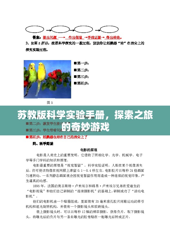 蘇教版科學(xué)實驗手冊，探索奇妙之旅的冒險游戲