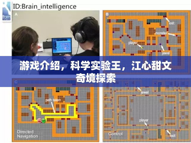 科學(xué)實驗王，江心甜與文奇境的奇幻探索之旅