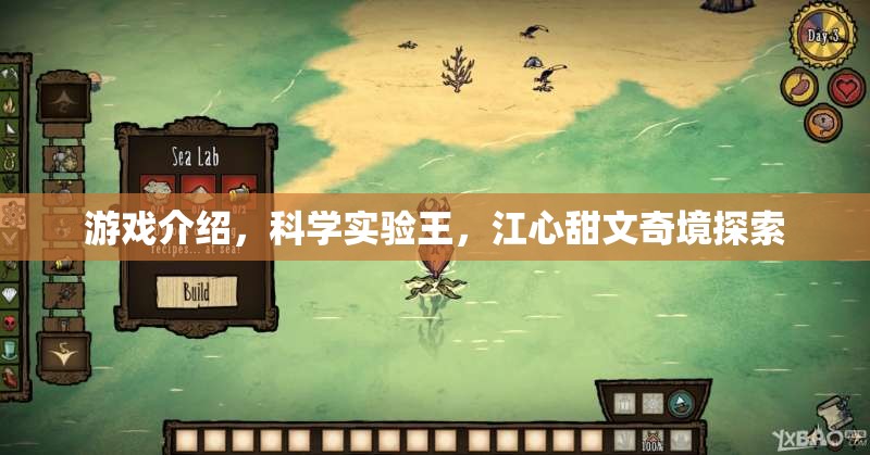 科學(xué)實驗王，江心甜與文奇境的奇幻探索之旅