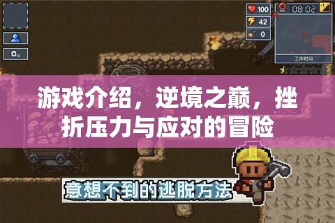 逆境之巔，挑戰(zhàn)挫折壓力的冒險之旅