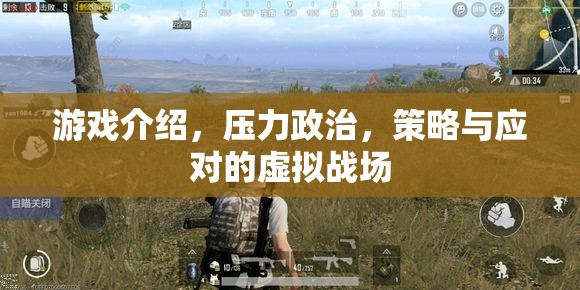 虛擬戰(zhàn)場(chǎng)，策略、壓力政治與應(yīng)對(duì)的全面解析